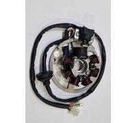 Sgr 7 Poles 12v 95w Stator Noir,Gris