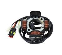Stator d allumage P2R compatible avec Moto Beta 50 RR 2005 à 2012 28.97810.000