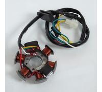 Stator d allumage P2R compatible avec Moto Gilera 50 RCR 2003 à 2020