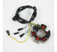 Stator D Allumage P2r Pour Moto Beta 50 Rr Motard 2013 À 2018 Neuf