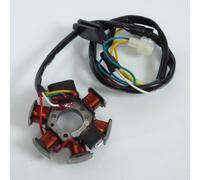 Stator D Allumage P2r Pour Moto Derbi 50 Gpr 2005 À 2020 Neuf