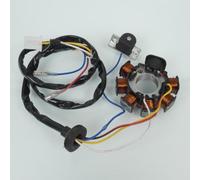 Stator D Allumage P2r Pour Scooter Aprilia 50 Scarabeo 1993 À 2005 Neuf