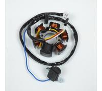 Stator D Allumage P2r Pour Scooter Peugeot 50 Buxy 1994 À 2020 Neuf