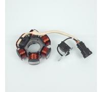 Stator d allumage RMS pour Scooter Derbi 50 Atlantis 2010 AL4AE2 Neuf