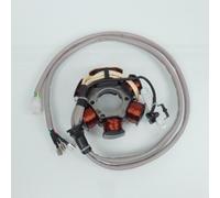 Stator D Allumage Rms Pour Scooter Gilera 50 Stalker 1997 À 2004 C1300 Neuf