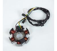 Stator d allumage Teknix compatible avec Moto Rieju 50 MRT 2009 à 2017