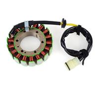 Stator D'allumage Bobines Compatible Avec Can-Am Pour DS650 2000 2001 2002 2003 2004 2005 2006 2007 Pour DS650 Pour Baja 2002 Bobine De Stator De Magnéto De Moto 420296520