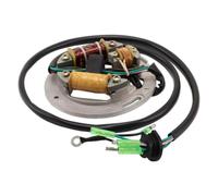 Stator D'allumage Bobines Compatible Avec SUPER JET 700 1996 1997 1998 1999 2000 Les Accessoires De Moteur De Générateur De Bobine De Stator De Magnéto De Moto Remplacement 6R7-85560-10-00