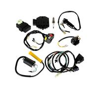 Stator D'allumage Faisceau Pour Sportrax Pour TRX400EX 1999 2000 2001 2002 2003 2004 CDI Bobine D'allumage Interrupteur Faisceau Câbles Assy