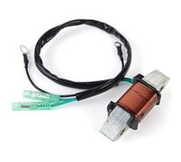 Stator D'allumage Magneto Pour Moteur Hors-bord 40hp 40X E40X 1998-2017 66T-85520-00 Pièces Générateur Bateau Bobine Charge 66T-85520