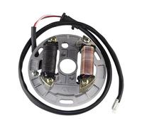 Stator D'allumage Magneto Pour Suzuki LT80 LT 80 Pour Quadsport 80 1987-2006 21003-S005 21003-S005 Bobine Moto Allumage Magnéto Stator Plaque