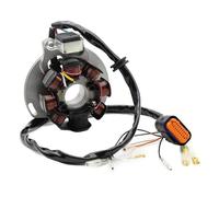 Stator D'allumage Magpower pour Gas Gas EC125 2005 2006 EC200 EC250 EC300 2005 2006 2007 2008 ME250534005 Bobine De Stator Magnétique pour Générateur De Moto Bobines Magnéto Stator