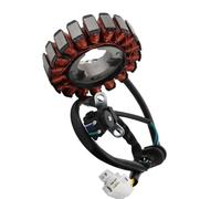 Stator d'allumage Moto Compatible Avec CBF125 Pour GLR125 2015 2016 2017 2018 Moto Magnéto Stator Bobine Générateur D'allumage Accessoires De Moteur