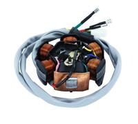 Stator d'allumage P2R STATOR SCOOT