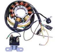 Stator D'allumage pour Polaris pour Magnum pour Scrambler pour Sportsman pour Ranger pour Worker Relais Solénoïde Démarreur Stator De Magnéto 3084974 Bobine De Stator