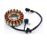 Stator d'allumage SGR 163005