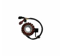 Stator d'allumage SGR 168075