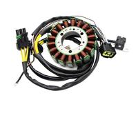 Stator de Bobine d'allumage pour Polaris Trail, Blazer 330, Blazer 330 Intl, Boss 330, Boss 330 Intl, magnéto de Moto, Bobine d'allumage 3090278