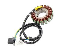Stator de générateur compatible avec X-Motion 250 300 X-Large 300-552857