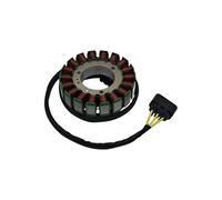 Stator de générateur for SEGWA 570 SNARLER AT6L AT6S DELUXE-L LUXE STD ATV, pièces de démarreur E01C21210001