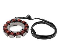 Stator de magnéto pour Harley XL1200NS 1LP3 Iron 1200 2018-2021 XL1200T 1LL3 Sportster pour Super Low 2019-2020 Bobine Stator pour Moto