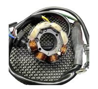 Stator de magnéto, Rotor et Bobine d'allumage légers à 8 bobines pour Moteur Dio 50/Dio50 AF18 (Moto).