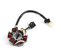 Stator Démarrage Électrique À 6 Pôles Pour Quad, Dirt Bike, Kart, Buggy, Pour 50cc, 70cc, 90cc, 110cc, 125cc, Générateur, Bobines Moteur Générateur D'allumage