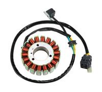 Stator générateur Bobine de stator de générateur de moto compatible avec SYM ATV Quad Lander 250 Gamax ATV AX250 AX300 E-Ton ATV Vector 250 300 Stator moto