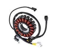 Stator Magnétique Bobines Compatible Avec Pour BR250 Pour Z250SL ABS 2014 2015 2016 Fil De Moto Magnéto Stator Bobine Fils Stator Magnéto Remplacement 21003-0141