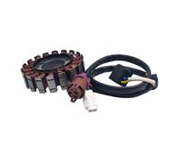 Stator magnéto adapté for ATV 300B 300cc 2.1.01.2061 27450 LU019987