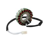 Stator Motocyclette Bobine De Stator De Générateur De Moto Pour FZ6, FZ6N, FZ6S 2004-2009 Et FZ6 FZ6-SW 2007