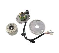 Stator Motocyclette Convient Aux Accessoires Modification Bobine, Stator, Rotor, Aimant Disque D'étanchéité D'huile Moteur Horizontal De Moto 150cc