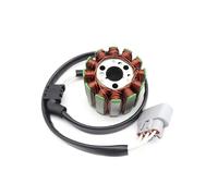 Stator Motocyclette Kit De Volant D'inertie Pour Moteur De Moto YZF R1 FZ1 FZ1-NA FZ8 FZ8-N, Accessoire De Bobine De Générateur(C)