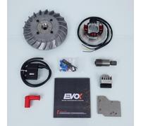 Stator Rotor D Allumage Evok Pour Auto 12v Cône 16mm / V5a1t Neuf