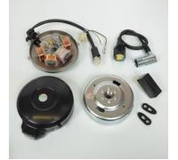 Stator rotor d allumage pour mobylette Peugeot 50 103 Petit cône 12V Neuf