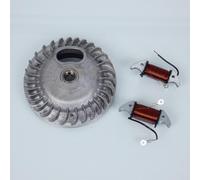 Stator Rotor D Allumage Rms Pour Mobylette Piaggio 50 Grillo 1989 À 1993 Cxm/Cxv Neuf