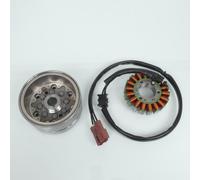 Stator Rotor D Allumage Rms Pour Scooter Aprilia 500 Scarabeo Light 2006-2008 58080r / 58040r / 58197r Neuf