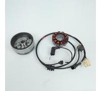 Stator Rotor D Allumage Rms Pour Scooter Piaggio 150 Liberty 2013 À 2014 M73500 Neuf