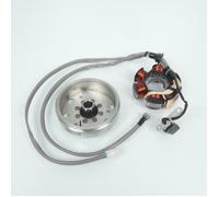 Stator rotor d allumage RMS pour scooter Piaggio 50 Typhoon 1993-2003 830294 584526