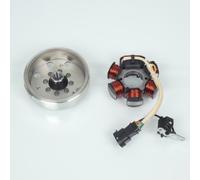 Stator Rotor D Allumage Rms Pour Scooter Piaggio 50 Vespa Primavera 2013 À 2017 C53200 Neuf