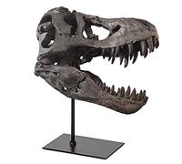 Statue de crâne de T-Rex, Dinosaure Sculptures Tyrannosaurus Rex Résine Tête Statue Salon Décoration Moderne Bureau Décoration Étagère Murale Décoration