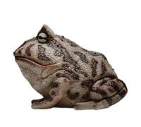 Statue de grenouille, figurine de grenouille | Décorations réalistes de cour de grenouille en résine extérieure | Sculptures décoratives de grenouille, jouet de table, ornement, artisanat d'art à coll