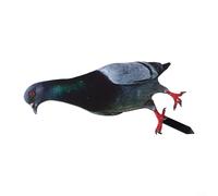 Statue de pigeon de jardin 2D en acrylique résistant aux intempéries - Sculpture d'oiseau sauvage - Décoration de cour sur le thème de la ferme - Figurine d'extérieur réaliste - Installation facile (A