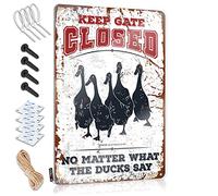 Statue décorative en métal pour cuisine, bar, automne - Garder la porte fermée peu importe ce que disent les canards - Art facile à accrocher (30 x 40 cm)