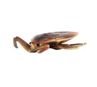 Statue D'insecte En Pvc,Modèle De Sauterelle,Libellule,Grenouille,Figurine Miniature,Apprentissage Précoce,Jouet Éducatif De Bureau - Type G