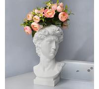 Statue Grecque, Hosrnovo Grand Vase tête de David 25,4 cm pour Jardin et Maison, Style Romain Vintage, Bol de Fleurs Blanches, Cadeau créatif pour Pendaison de crémaillère