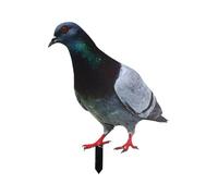 Statuette de pigeon de jardin 2D en acrylique, résistante aux intempéries, sculpture d'oiseau décorative pour extérieur, ferme, cour, décoration d'intérieur, nature, 1/2 pièce (A)