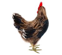 Statuette de Poule Décorative Jardin Réaliste, Plumage Simulation | Aspect Réaliste, Posture Délicate, Résistance à L’usure, Usage Extérieur Près du Lac Jardin