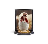 Statuette - The Noble Collection - NN9753 - Dino Egg - 12 cm - Pour enfants à partir de 4 ans
