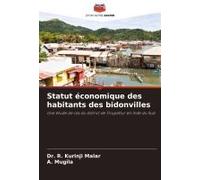 Statut Économique Des Habitants Des Bidonvilles